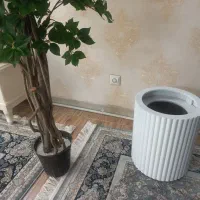 درختچه مصنوعی مینیاتوری با گلدان چوبی نو نو|گل مصنوعی|ری, علایین|دیوار