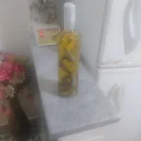 مار و دوربین پانا سونیک