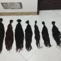 مرکز خرید اصلی مو