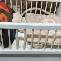 یک عدد تخت بچه  در حد نو|اسباب و اثاث بچه|زاهدان, |دیوار