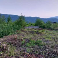 فروش-زمین