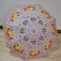 چتر