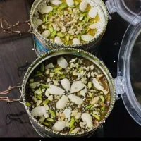 حلوا عمانی|خدمات پذیرایی، مراسم|جم, |دیوار