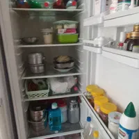 یخچال دوقلو الکترو استیل|یخچال و فریزر|کرمانشاه, |دیوار