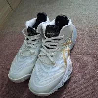 کفش والیبال|کیف، کفش، کمربند|بندر ترکمن, |دیوار