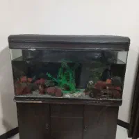 آکواریوم شرکتی با تمام وسایل