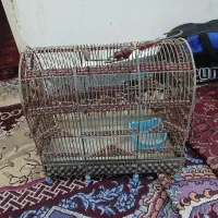 قفس سیره|لوازم جانبی حیوانات|اهواز, زرگان|دیوار