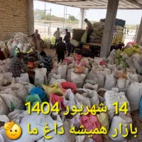 پیاز زعفران