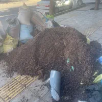 ممیز درجه ۲