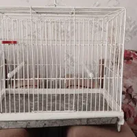 قفس دست بافت عتیقه