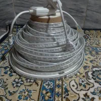 الکتورنیکی