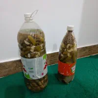 انواع خیار شور