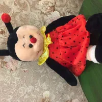 عروسک پولیشی نو