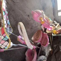 سه چرخه بچه دلیجان