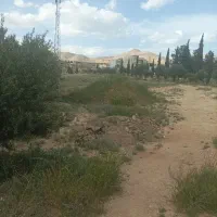 زمین-800-متری-بر-بلوار