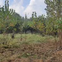 زمین-3500-متر-دیوار-شده-با-سند-تک-برگ