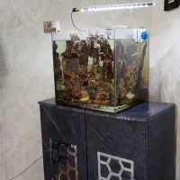 آکواریوم 45 در 45 طرح ادا (بدون چسب اکواریوم)