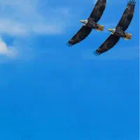 ۰۹۱۴۱۰۰۲۱۰۰