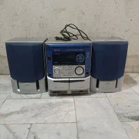 ظبت باند اصلی