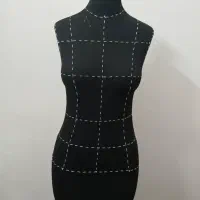 مانکن سوزن خور