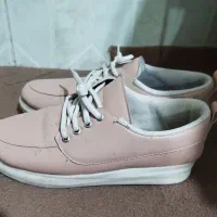 کفش|کیف، کفش، کمربند|تربت‌حیدریه, مظفریه|دیوار