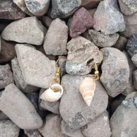 گوشواره صدفی.