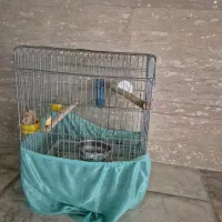 قفس پرنده