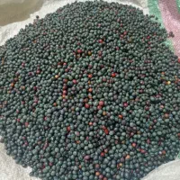 کلخنگ