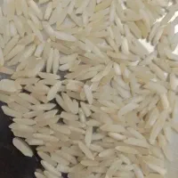 برنج فجر ب شرط پخت ۲ تن موجود است