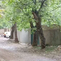 شهمیرزاد