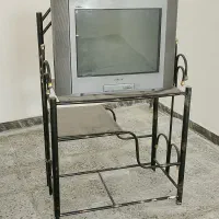 تلویزیون