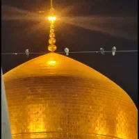 سفر به کربلا با قیمت استثنایی