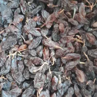 میوه|خوردنی و آشامیدنی|کوه چنار, |دیوار