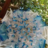 گل پروانه ای