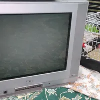 تلوزیون