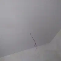 سقف کاذب|خدمات پیشه و مهارت|دماوند, گیلاوند|دیوار