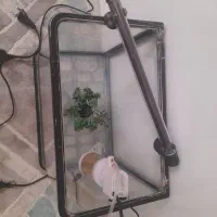 آکواریوم شرکتی ماهیران