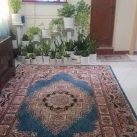 فروش آپارتمان ۵۰ متری ۲ خواب سند/پشت نظام مهندسی|فروش آپارتمان|رشت, دیلمان|دیوار