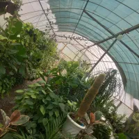 گلکده سام سیاهکل