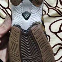 کفش سالنی حرفه ای|کیف، کفش، کمربند|شاهینشهر, عطار|دیوار