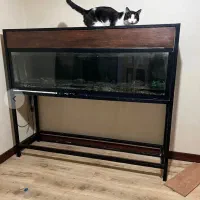 آکواریوم بزرگ