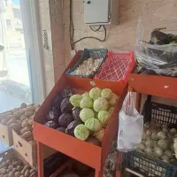وسایل میوه فروشی|فروشگاه و مغازه|شیراز, محراب|دیوار