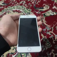 سالم بدون ایراد