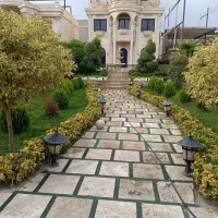 پیمان کار