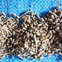 خوراک دام و طیور به قیمت عمده در کامیاران