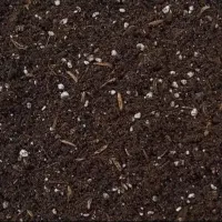 فروش کوکویپت و پرلیت خاک آماده گلخانه