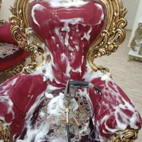 قالی ومبلشویی میکانیزه ادیب بدون کرایه|خدمات نظافت|رشت, دیانتی|دیوار