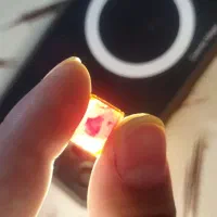 ‌نگین‌انگشتر|بدلیجات|بیرجند, |دیوار