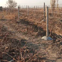 تیرچه گذاری وپایه فنس