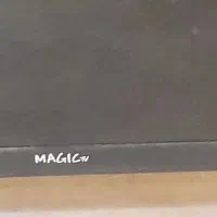 تلویزیون|تلویزیون و پروژکتور|گرمدره, |دیوار